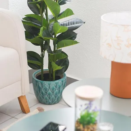 Centre - L'ephemere - Vosges Du Nord *